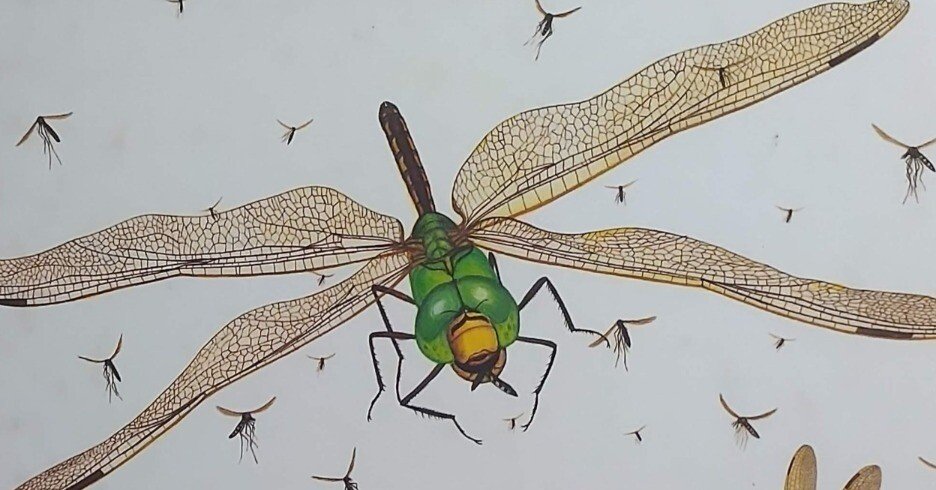 d0d058d1fb632bef65caeccd39503e