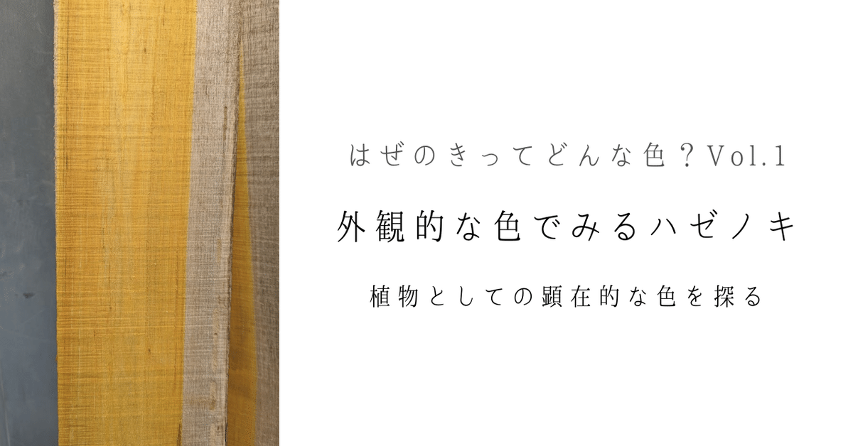 年代物の観賞木 木石 炭化木 珪化木 1700万年前 木の化石 茨城県産 水石 鑑賞石