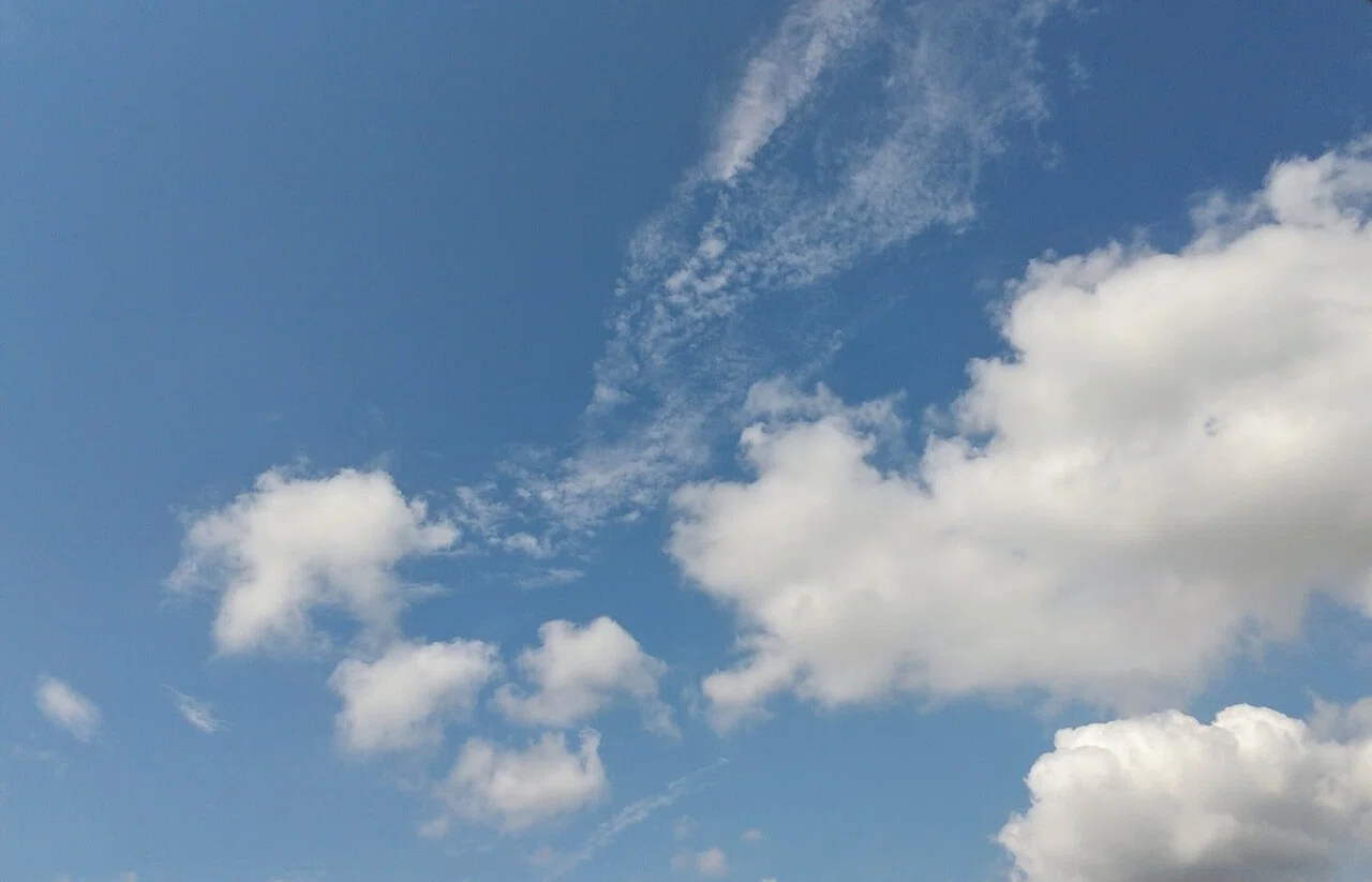 ギラギラ照りつける太陽。もくもく綿菓子みたいな雲。風はあるけど温風。日中は茹だるような暑い日が続いているけど暦の上では秋。確かにここ数日 夜に ...