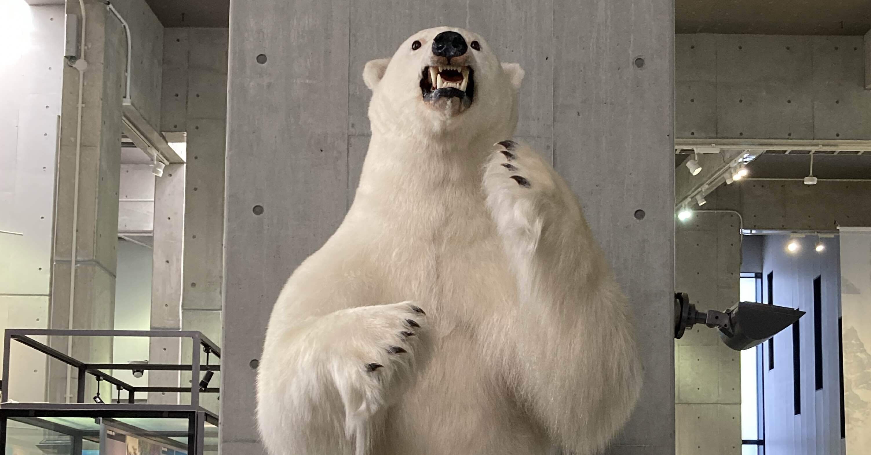 国立極地研究所 南極・北極科学館｜りすす