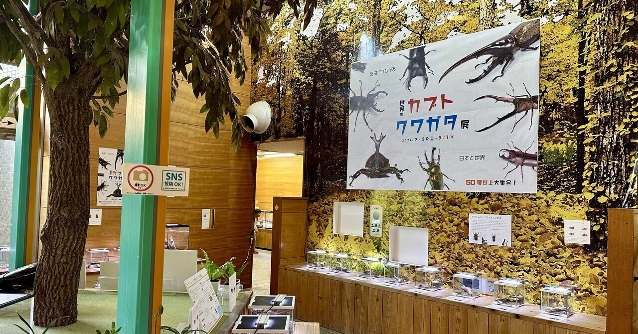70種以上のカブト・クワガタが展示された『世界のカブト・クワガタ展