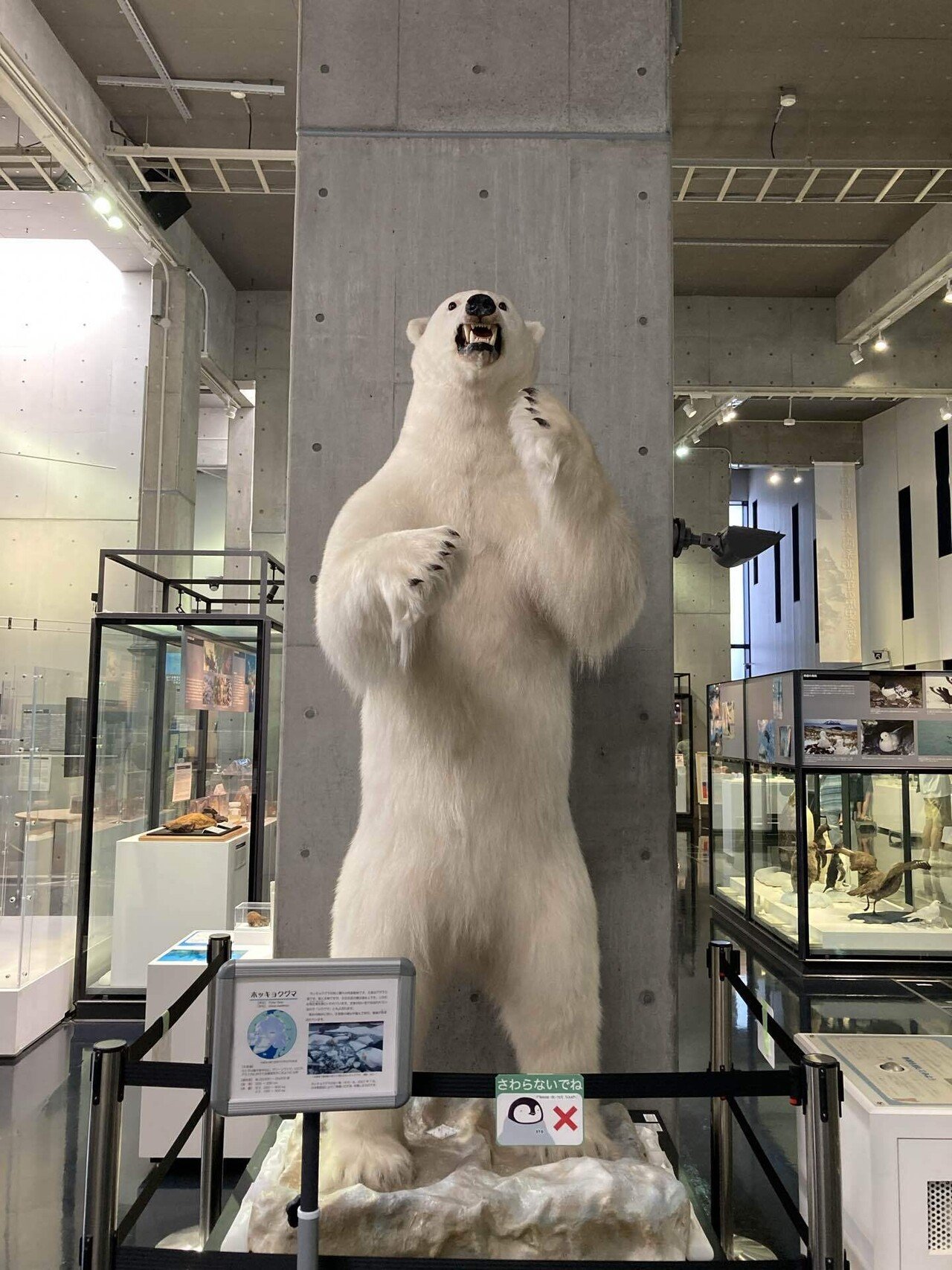 国立極地研究所 南極・北極科学館｜りすす