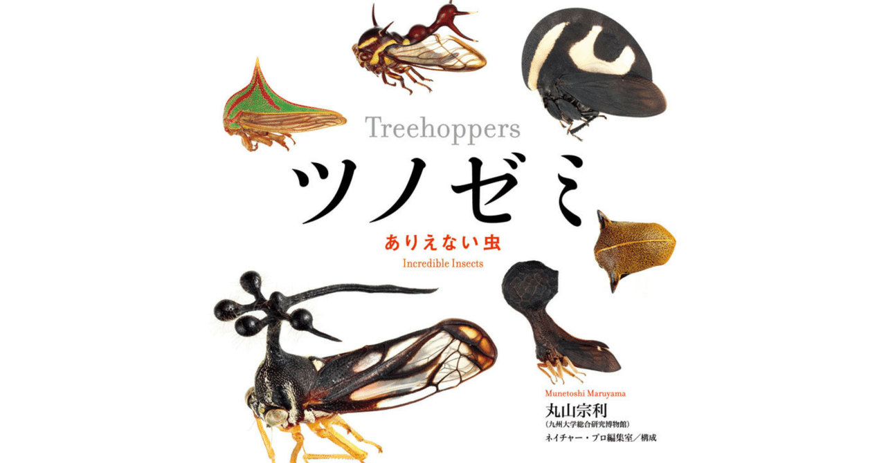 ツノゼミ ありえない虫｜watari miki.1/19アルバム配信&販売開始