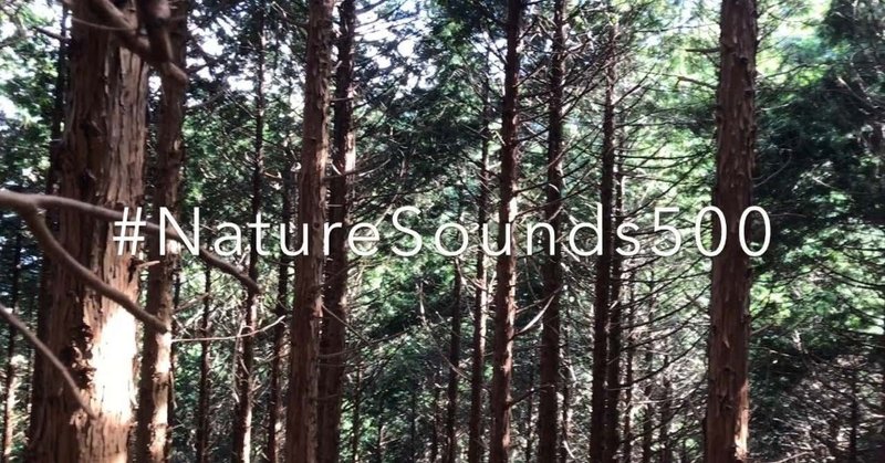#NatureSounds500 : 間伐後の森サウンド♪(42/1000)