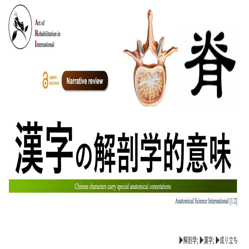 漢字の解剖学的意味｜Super Human | 理学療法士／保健学博士 Ph.D.