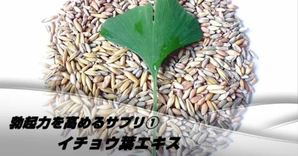 勃起力アップ Edに効くサプリ イチョウ葉エキス 竜王 Note