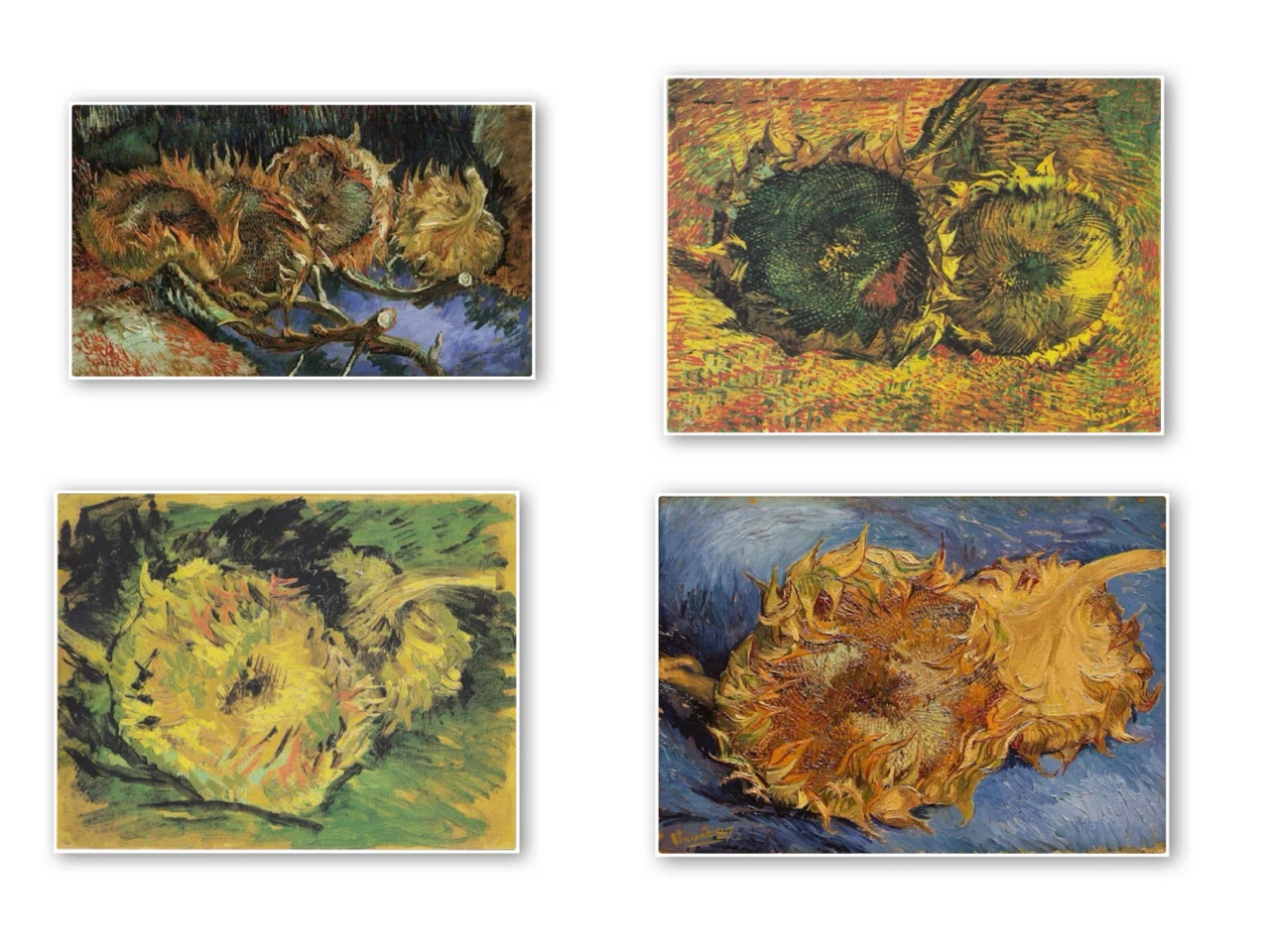 夏の絵画を学ぶ✍🏻ゴッホが描いた7枚のひまわり🌻｜re-musée