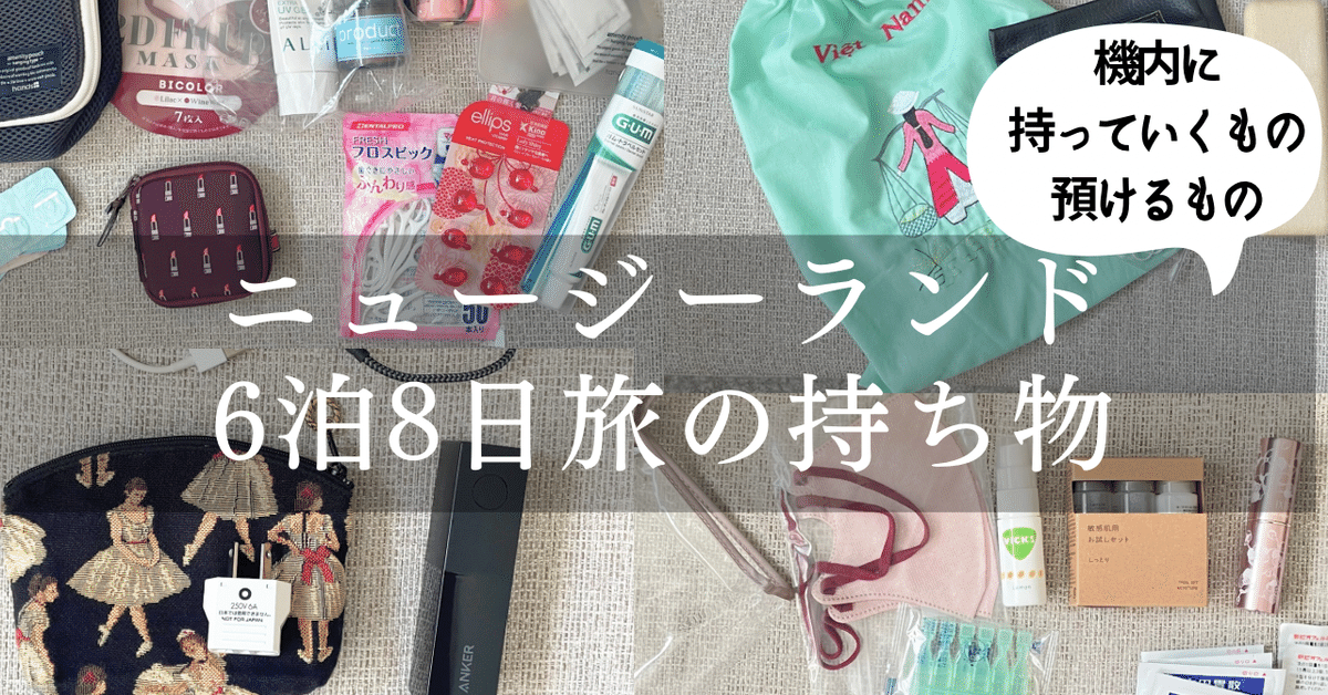 巾着袋 渋かっ ロエベ 7枚 保存袋