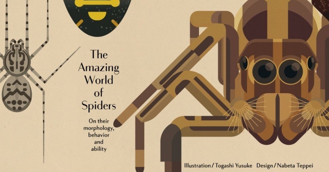 クモの呼び名」：『クモの奇妙な世界』（馬場友希さん）に収めきれ