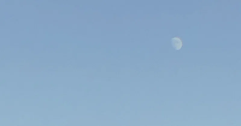 あなたは今 幸せですか という問いに対して ゆう Note
