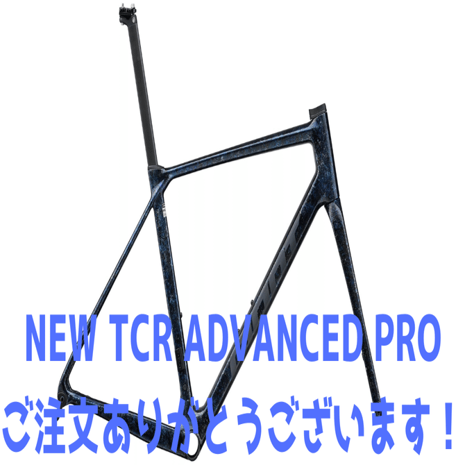 NEW TCR ADVANCED PROご成約ありがとうございます！｜BIKE SHOP FORZA