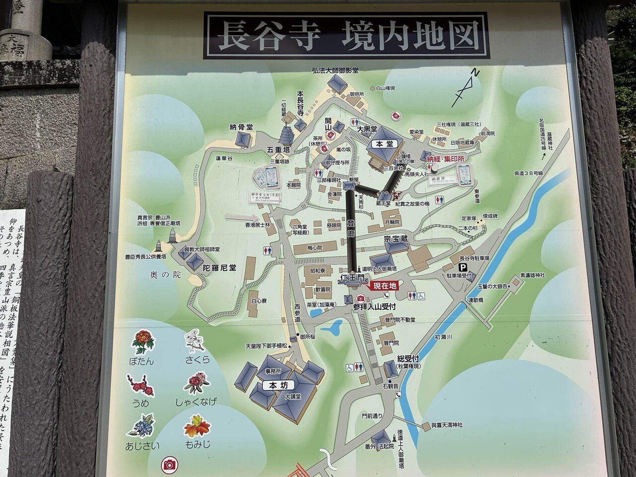 寺巡り 長谷寺、室生寺、浄瑠璃寺|森村一樹 寺巡り 長谷寺、室生寺、浄瑠璃寺|森村一樹