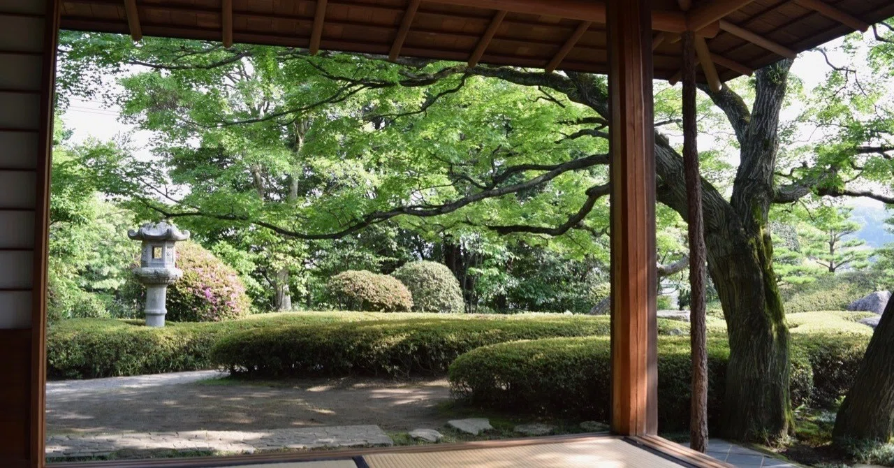 こんな植木屋に庭を任せては絶対にダメ。｜ウィズ ツリー