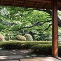 植木屋さんの社員と独立のデメリット ウィズ ツリー Note