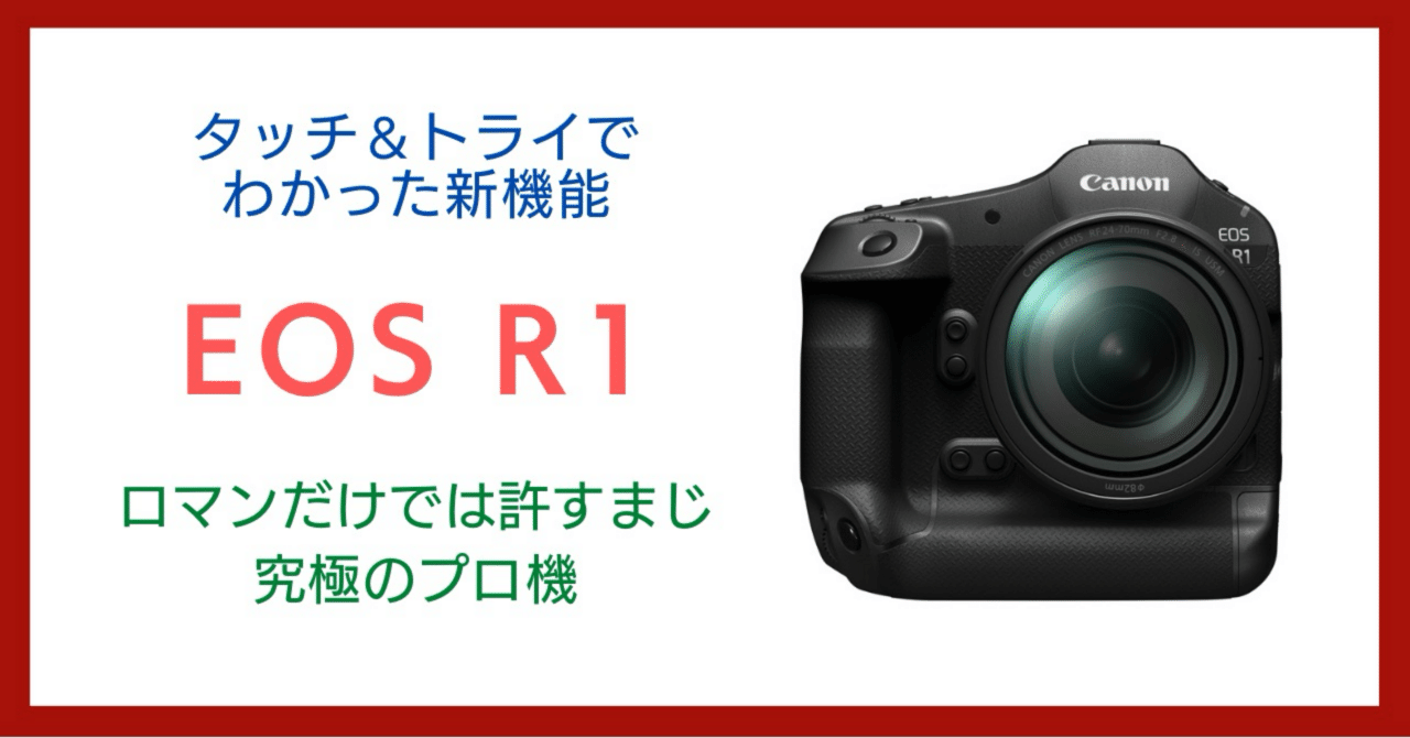 新着 シャッター数約120回 CANON 標準レンズ｜デジタル X50 Kiss EOS デジタルカメラ