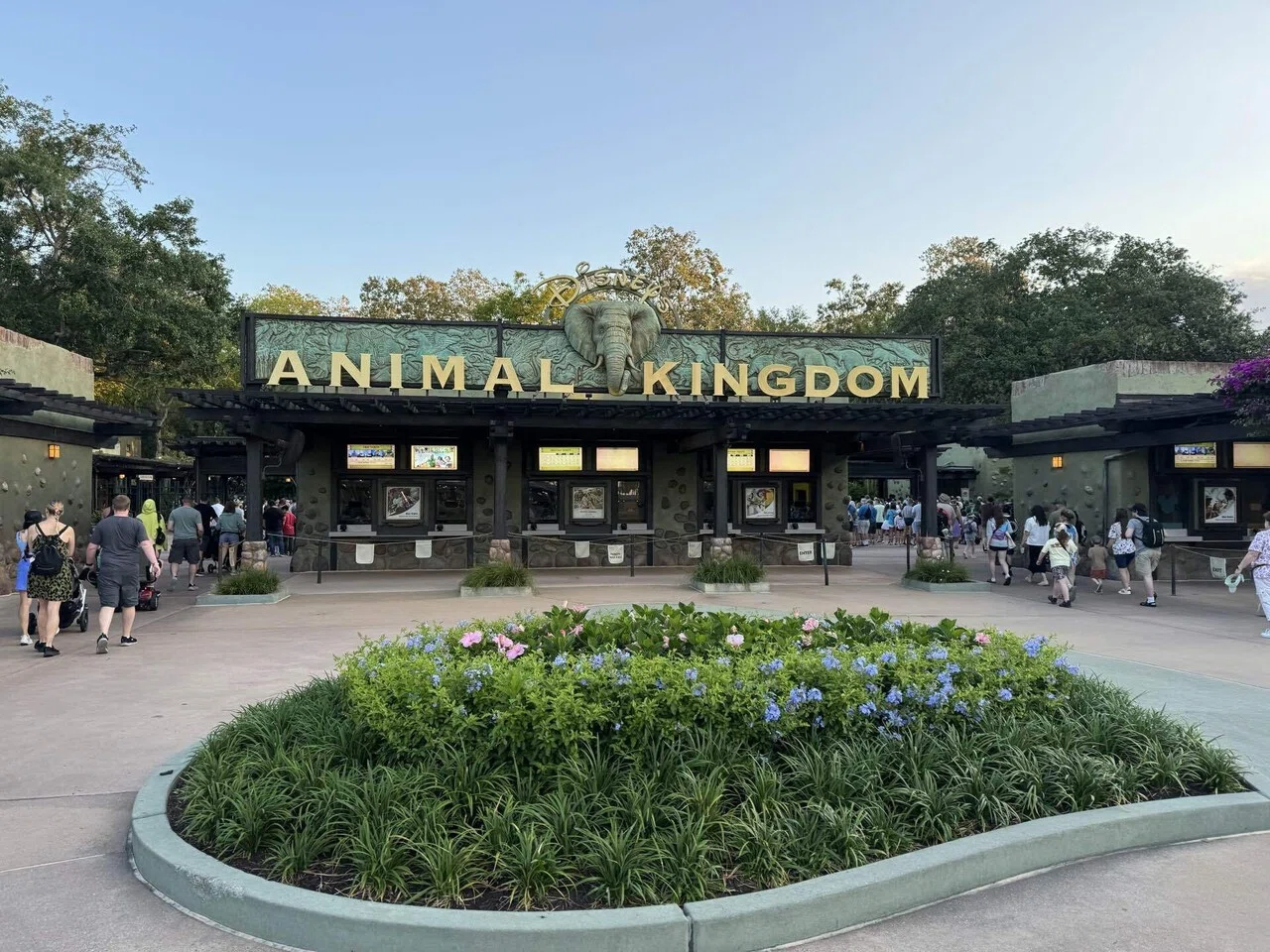 新婚旅行】海外ディズニーに行った話②【WDW】2日目アニマル