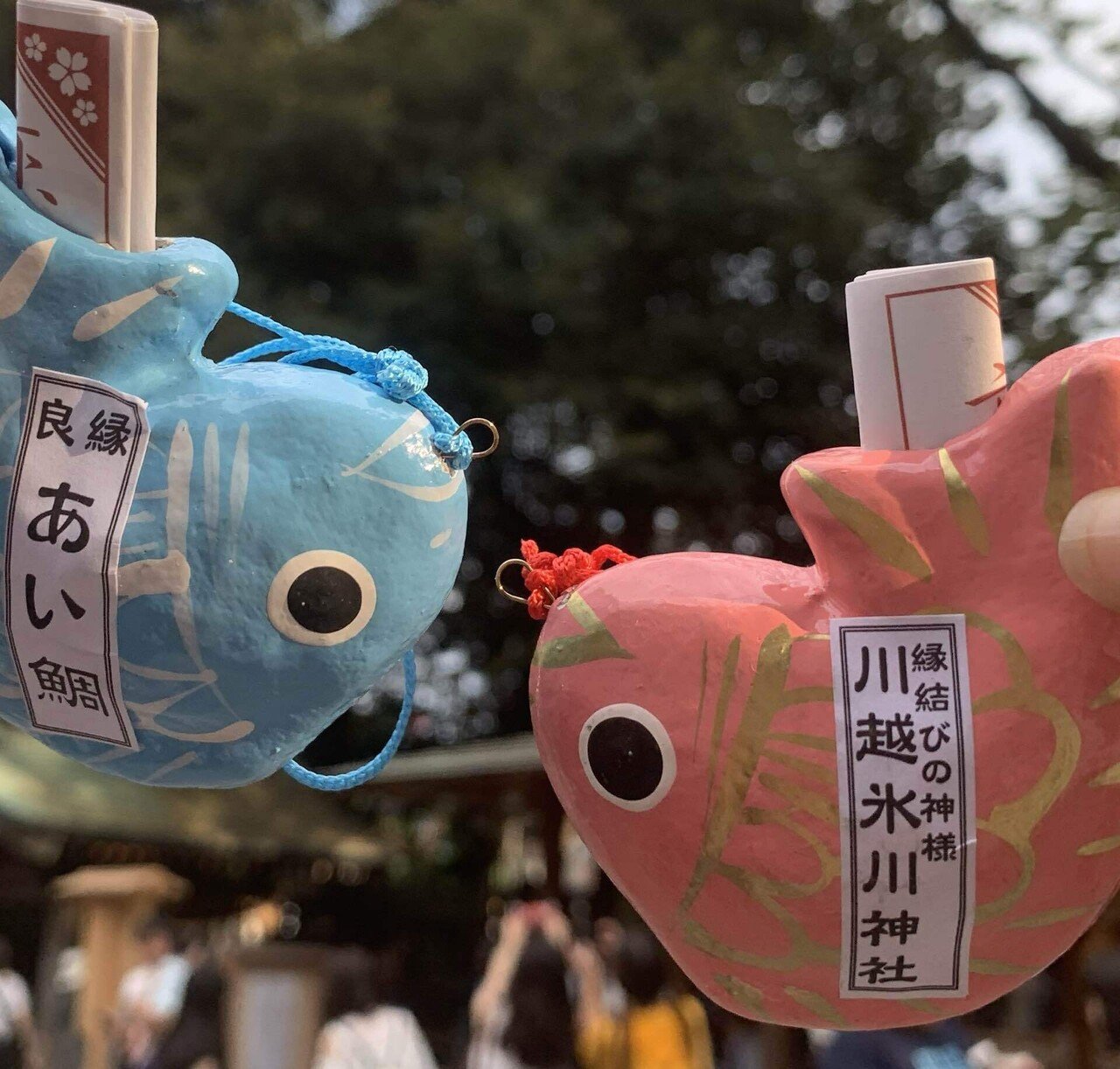 川越氷川神社の縁むすび風鈴🎐｜Ⓜ︎/旅する全国転勤OL