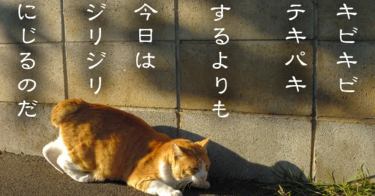 見出し画像
