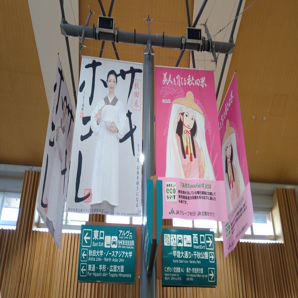 秋田米 美人を育てる 米 秋田米 美人を育てる 米