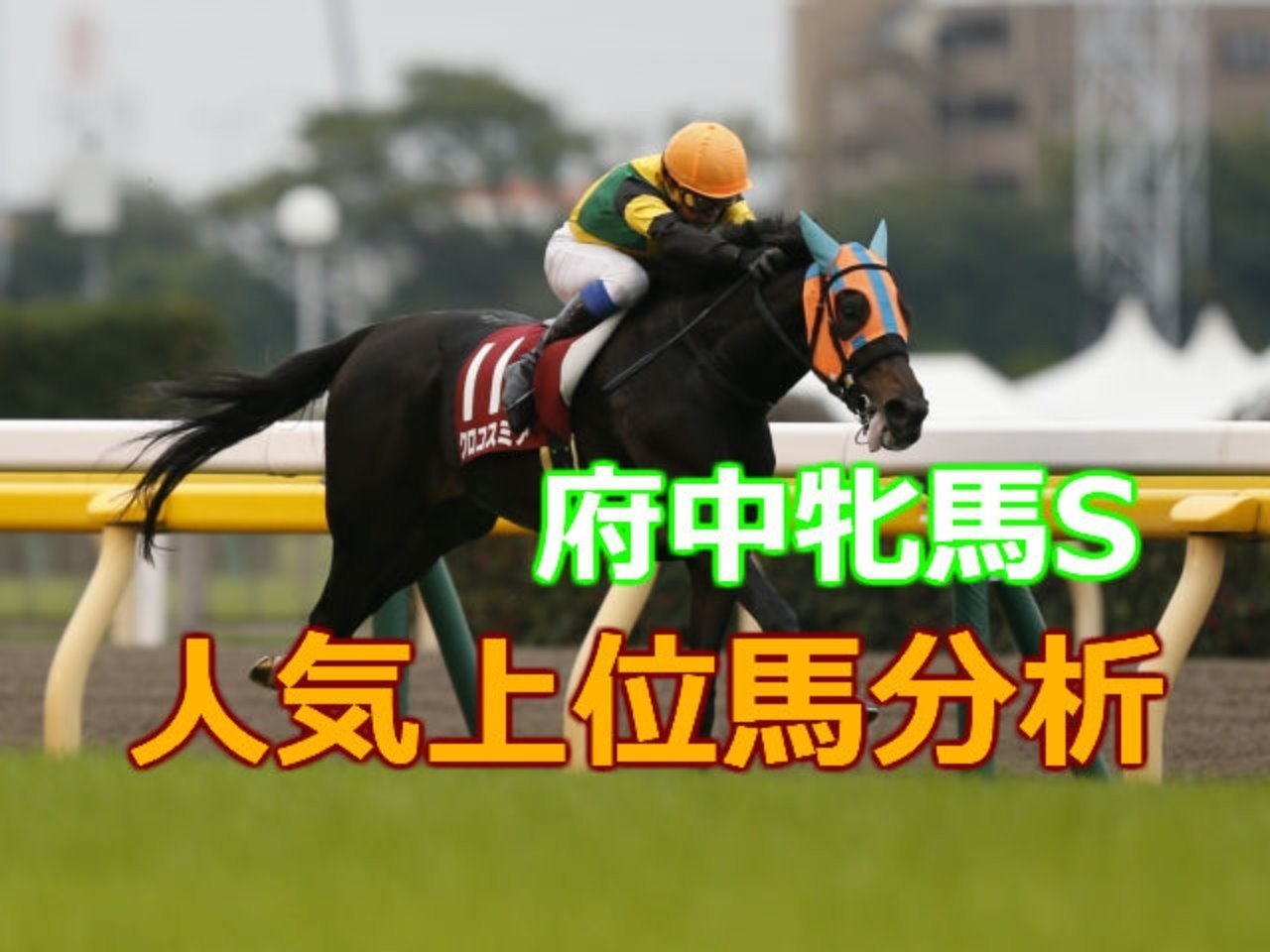 分析 府中牝馬s 甘く危険な人気馬たち こんにちは ぺちと申します Note 分析 府中牝馬s 甘く危険な人気馬たち こんにちは ぺちと申します Note