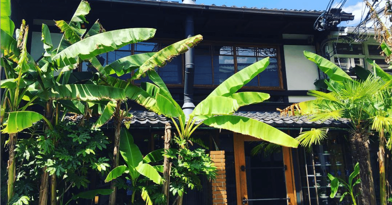 バナナを育てる最適な土は何か コンテナガードも使うと良いのよね オリーブ農家の日常 Note バナナを育てる最適な土は何か コンテナガードも使うと良いのよね オリーブ農家の日常 Note