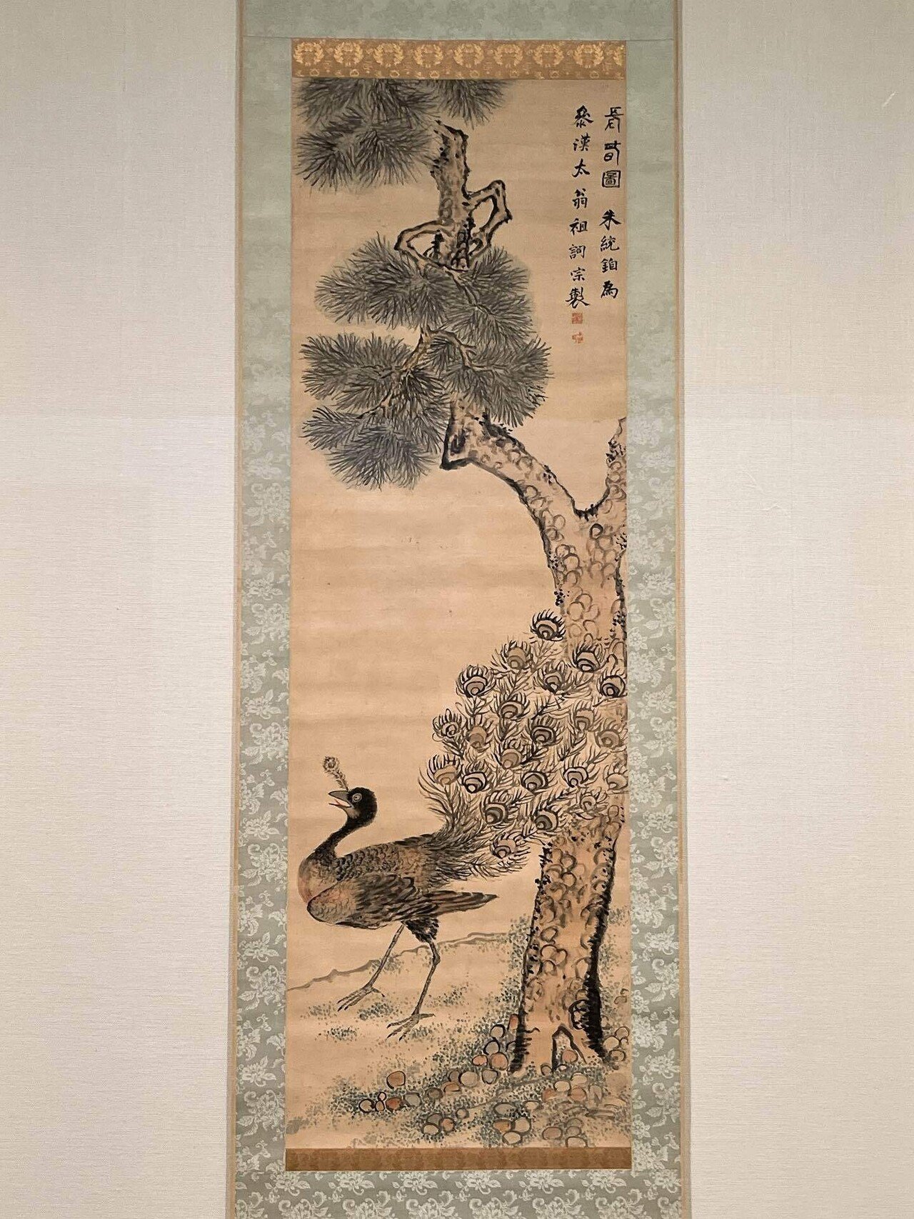 孔雀！孔雀！孔雀！「岡本秋暉 百花百鳥に挑んだ江戸の絵師―摘水軒