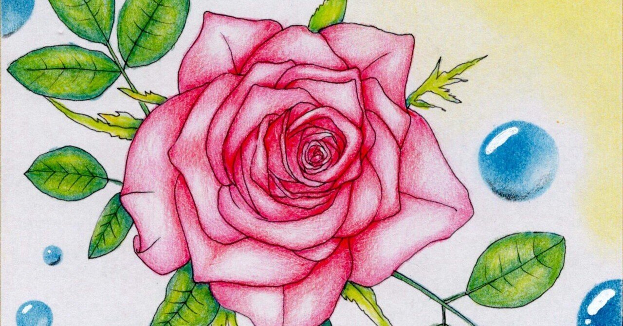 薔薇の花｜あいまる