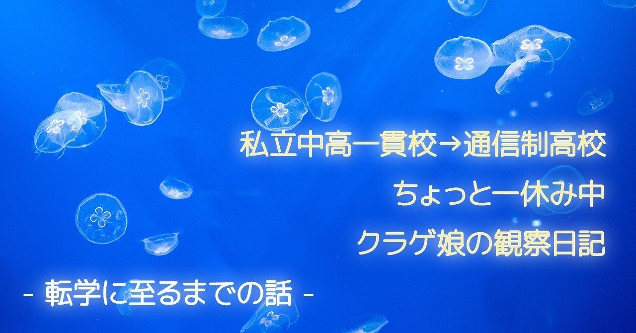 クラゲ娘が中高一貫校から転学を決めたわけ1 Noriko Kikuchi Note
