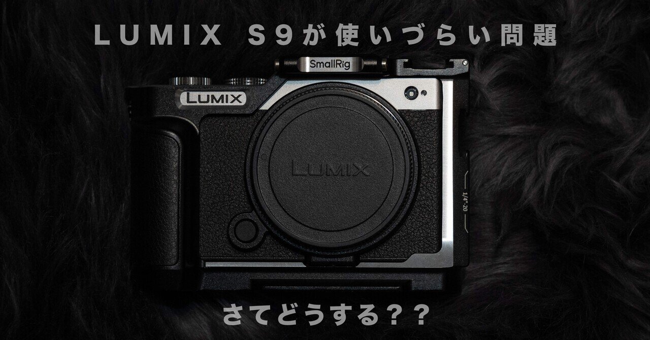 LUMIX S9 ミラーレスカメラ 取 ブラック Small Rig ケース付き