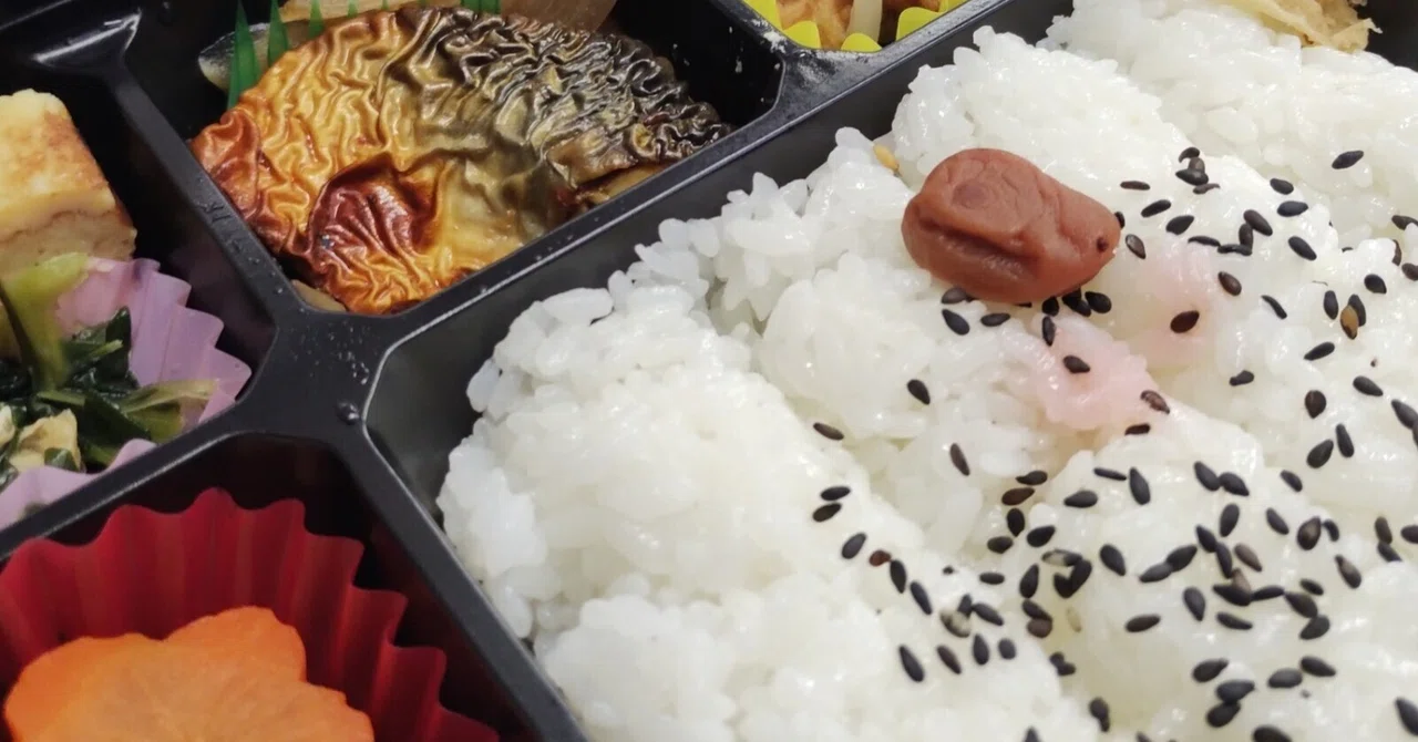 JR四国ステーション開発】幕の内弁当 瀬戸の凪｜知多半田から徒歩80分