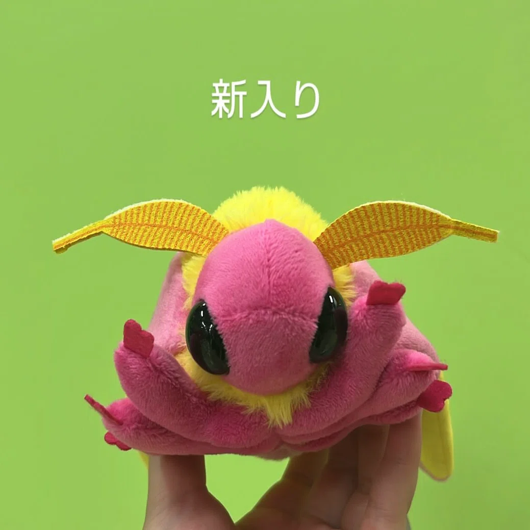ぬい活やってみる｜くるこ
