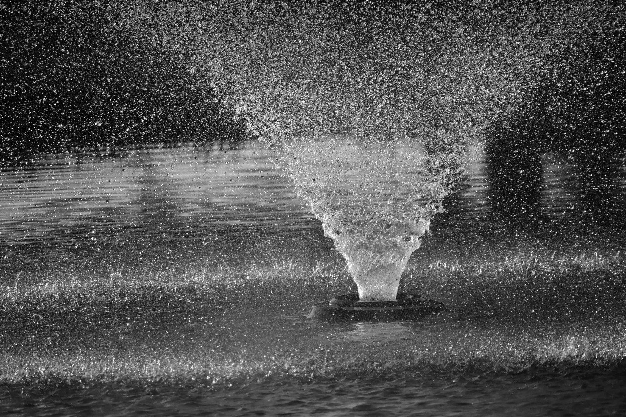 自信は持つものじゃない 湧き出るもの ゆかりん 英語サロン カレッジ オーナー Note