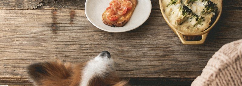 ひと手間で甘さアップ 干しいもクランブルパンケーキ 手作り犬おやつレシピ いちかわあやこ 犬ごはん先生 Note