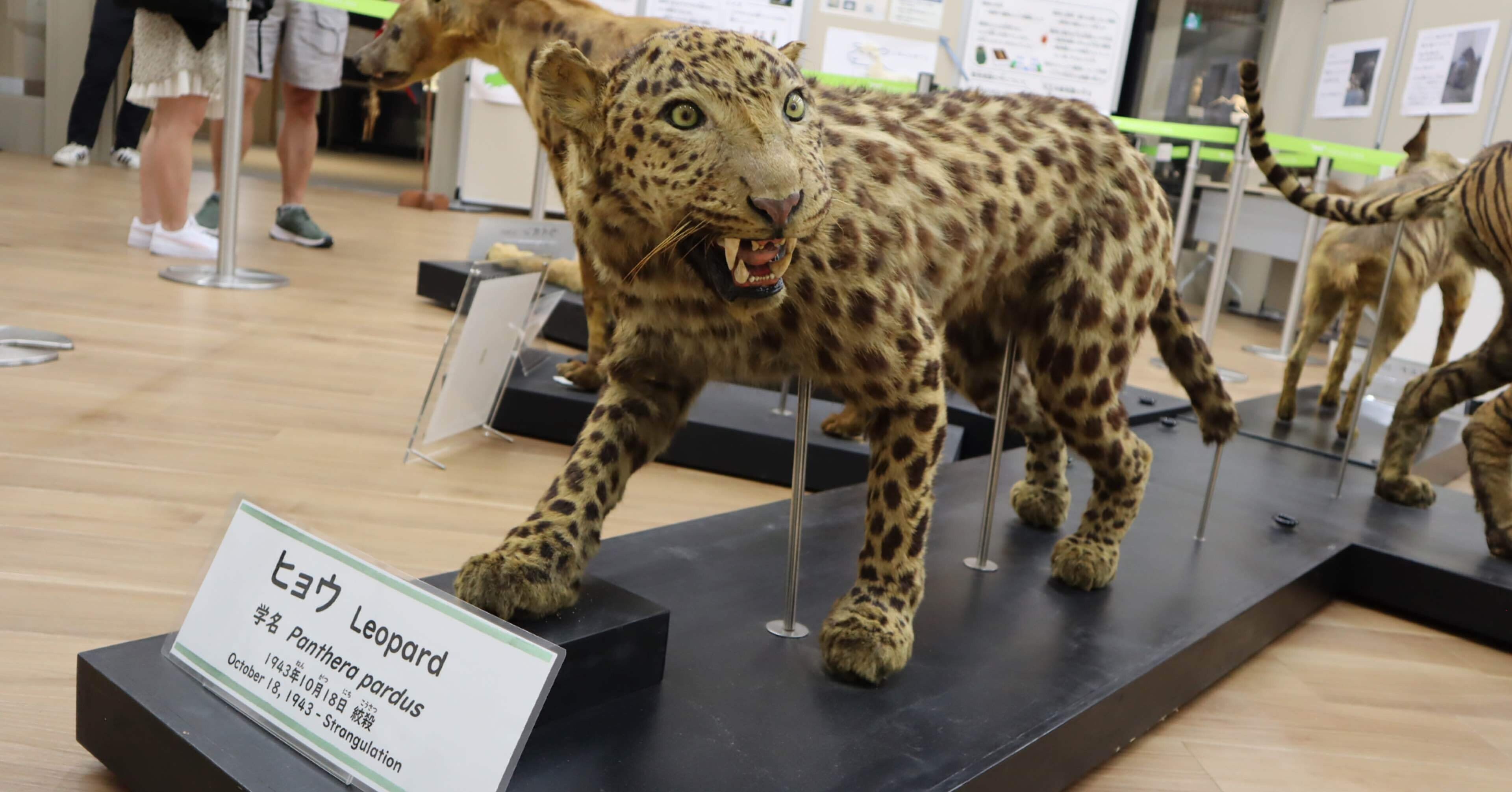 7a5ed36e92df3c95e98a145dfe79f6