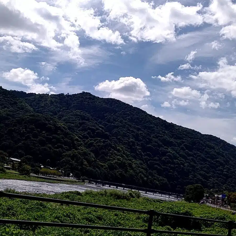 私の手作りiroiro