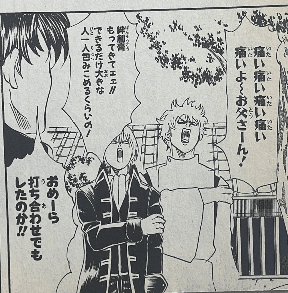 Gintama 寺門通 ピンバッジ】銀魂 反抗声明 寺門通 花嫁缶バッジ