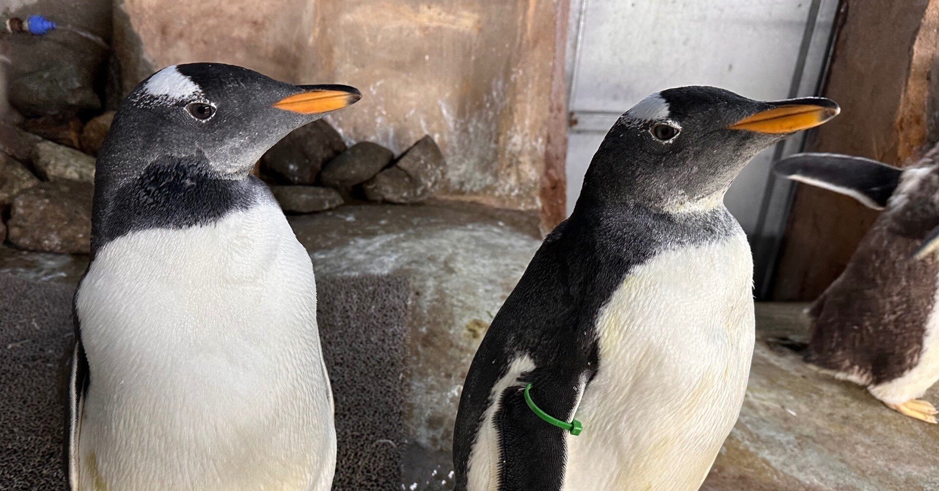 71fac766604b2172caa8563e68146f