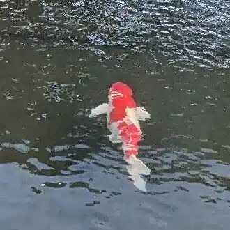 2805