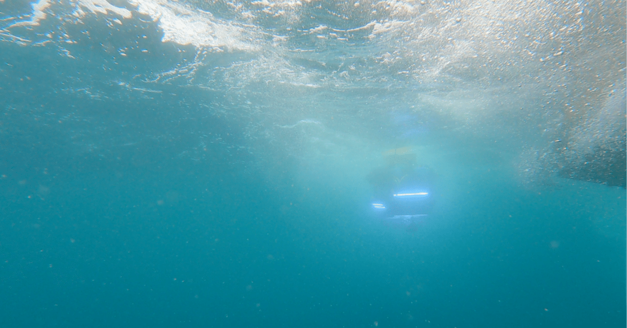 磁界センサーが捉えた！唐津沖で謎の巨大沈没船を発見〜W.S.P海洋調査