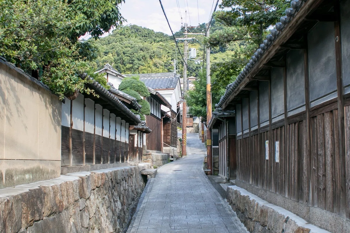 画像4