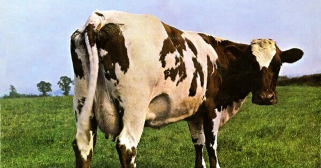 名盤伝説】”Pink Floyd / Atom Heart Mother”｜Mr.02