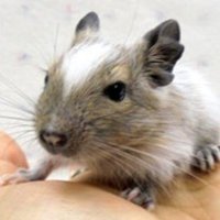 馴れ合いは 時に恐ろしい毒となる Takashi Suda かんた Note