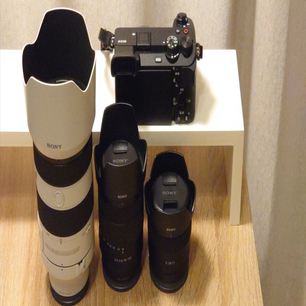 SONY α6700 E 18-135mmレンズ＋おまけ多数 SONY α6700 お迎え半年記念☆ 手持ちの機材を紹介するコーナー