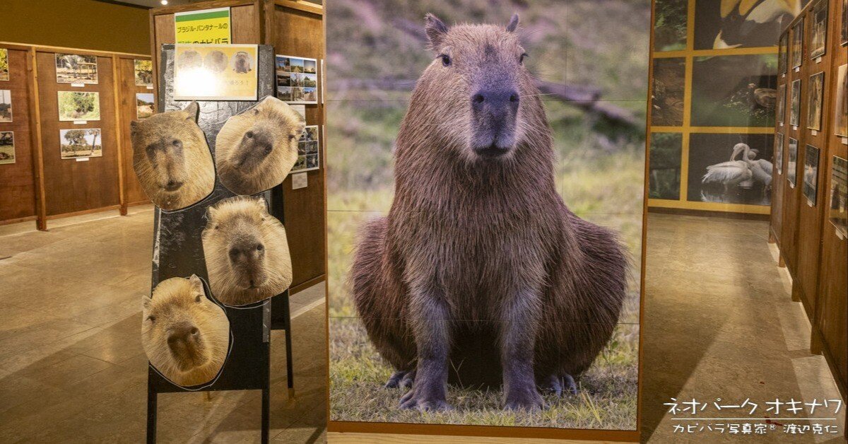 7079d86c969eb32eb3f94db3d2e1d3