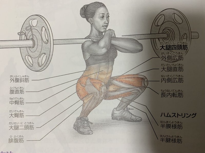 勃起力 Ed改善トレーニング 勃起力スクワット 竜王 Note 勃起力 Ed改善トレーニング 勃起力スクワット 竜王 Note