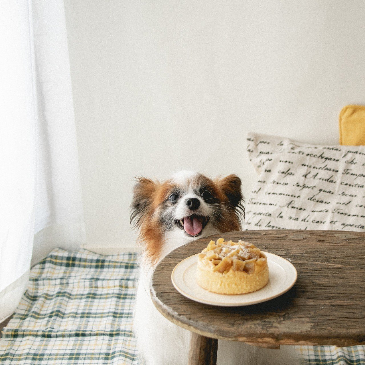 ひと手間で甘さアップ 干しいもクランブルパンケーキ 手作り犬おやつレシピ 単品購入 いちかわあやこ 犬ごはん先生 Note