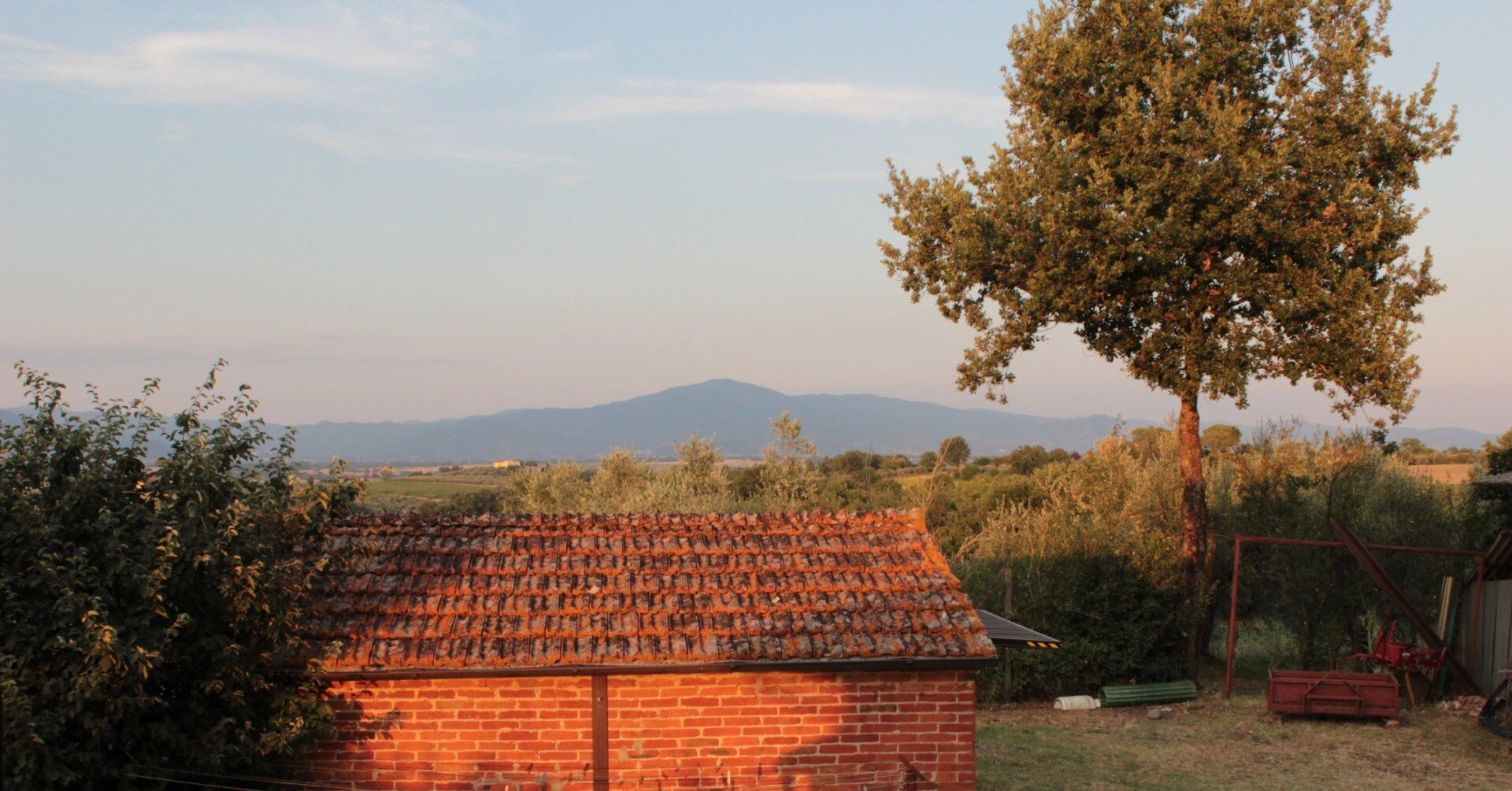 夏のイタリア・トスカーナ 秀明自然農法の圃場で学んだ暮らしの