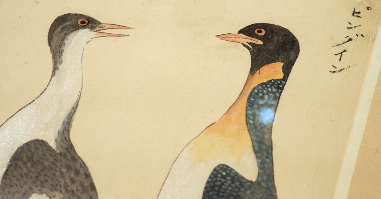 Amazon.co.jp: 江戸鳥類大図鑑 よみがえる江戸鳥学の精華『観文