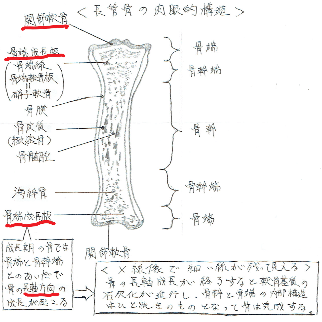 理学療法学 2014〜2018 理学療法 Vol.37 No.1 (発売日2020年01月28日) | 雑誌/定期購読