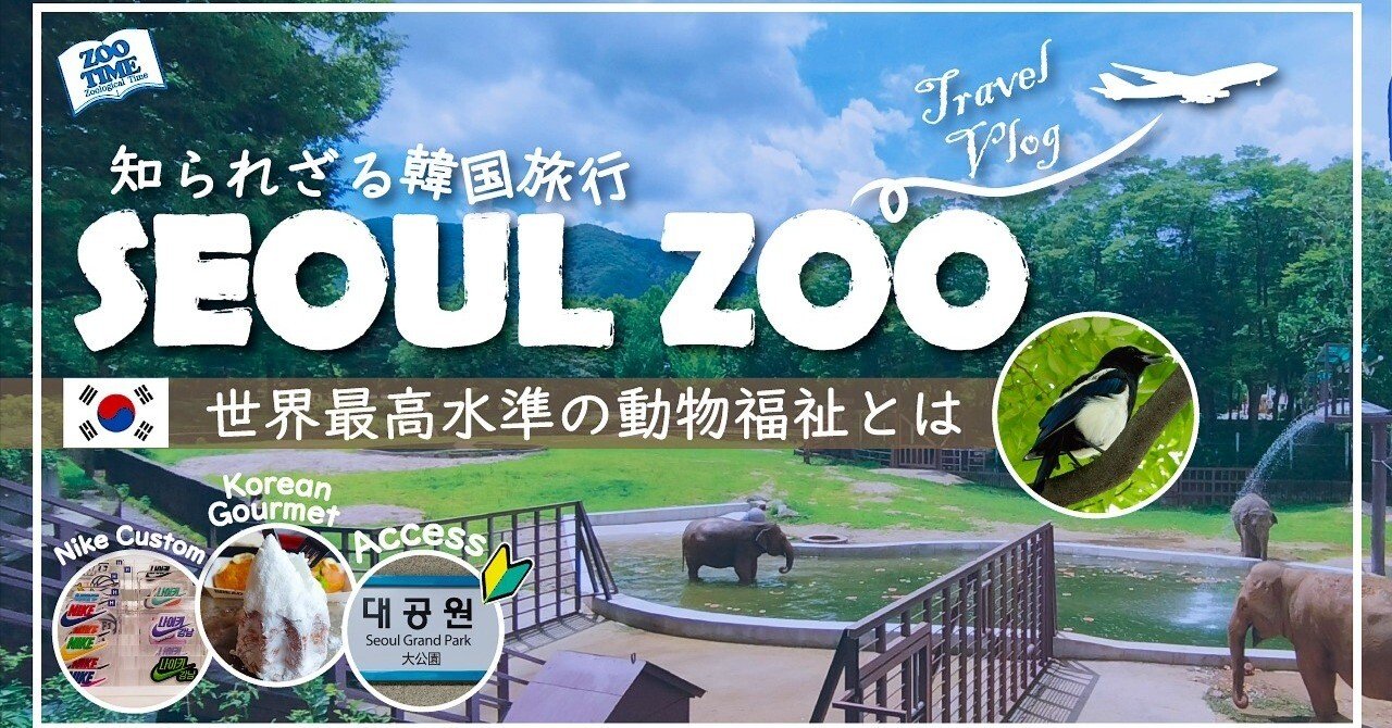 韓国旅行 超おすすめスポット】ソウル動物園で感動体験！ 世界最高水準
